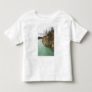 Canada, Alberta, Jasper National Park, Athabasca Toddler T-shirt