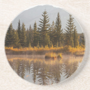 Canada, Alberta, Jasper National Park Coaster