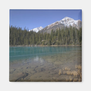 Canada, Alberta, Jasper National Park: JASPER, Magnet