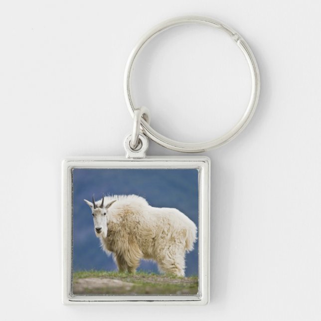 Canada, Alberta, Jasper National Park, Keychain (Front)