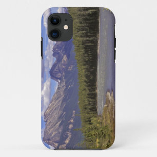 Canada, Alberta, Jasper National Park. Large iPhone 11 Case