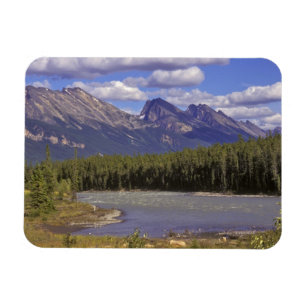 Canada, Alberta, Jasper National Park. Large Magnet