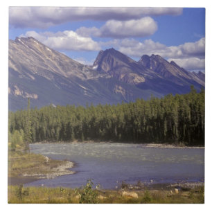 Canada, Alberta, Jasper National Park. Large Tile
