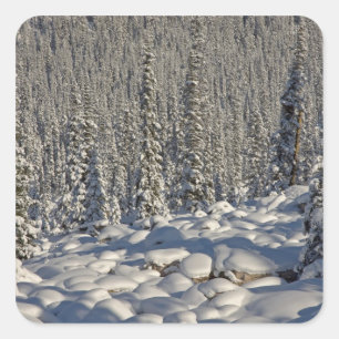 Canada, Alberta, Jasper National Park. Square Sticker