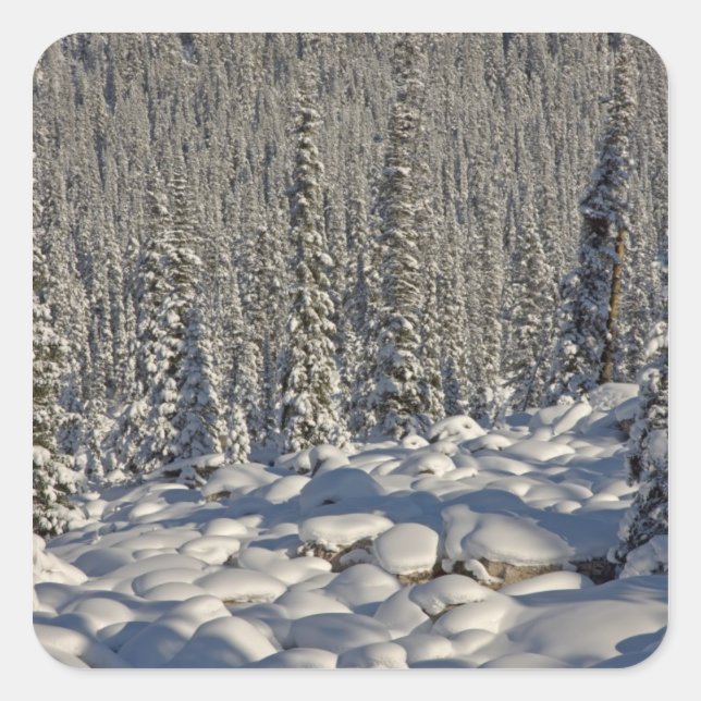 Canada, Alberta, Jasper National Park. Square Sticker (Front)