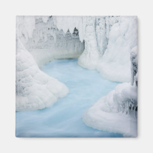 Canada, Alberta, Jasper National Park. The Magnet