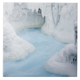 Canada, Alberta, Jasper National Park. The Tile