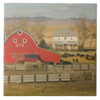 Canada, Alberta, Pincher Creek: Red Barn & Ranch