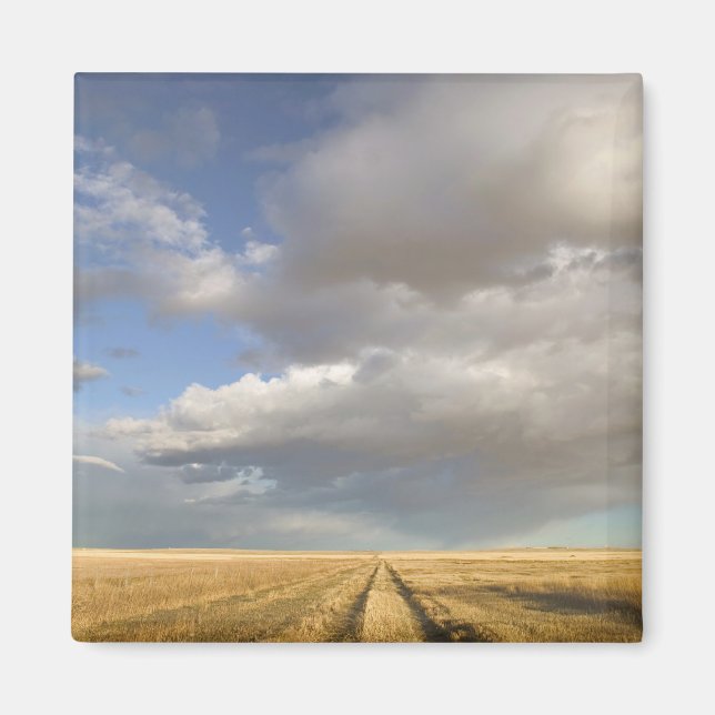 Canada, Alberta, Stand Off: Landscape with Magnet (Front)