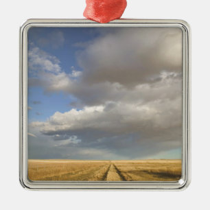 Canada, Alberta, Stand Off: Landscape with Metal Ornament