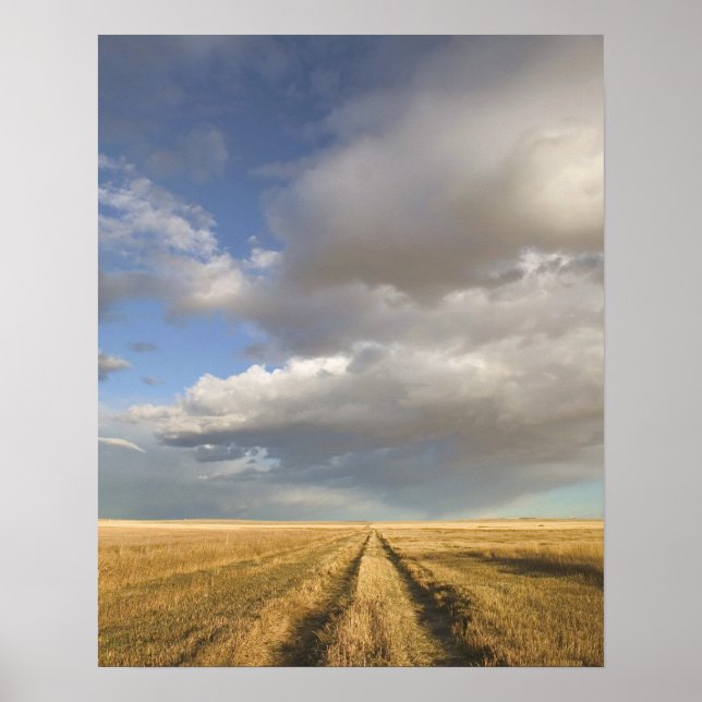 Canada, Alberta, Stand Off: Landscape with Poster (Front)