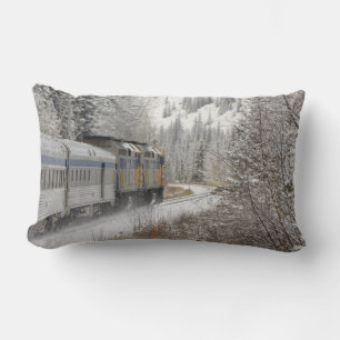 Canada, Alberta. VIA Rail Snow Train between Lumbar Pillow