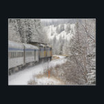 Canada, Alberta. VIA Rail Snow Train between Postcard<br><div class="desc">COPYRIGHT Cindy Miller Hopkins / DanitaDelimont.com | CN01 CMI0019.jpg | Canada,  Alberta. VIA Rail Snow Train between Edmonton & Jasper.</div>