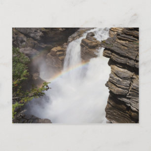 Canada - Athabasca Falls postcard