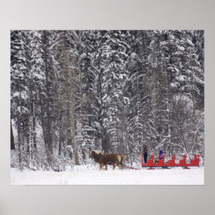 Canada, Banff. Sleigh rides at Martin Stables. Poster