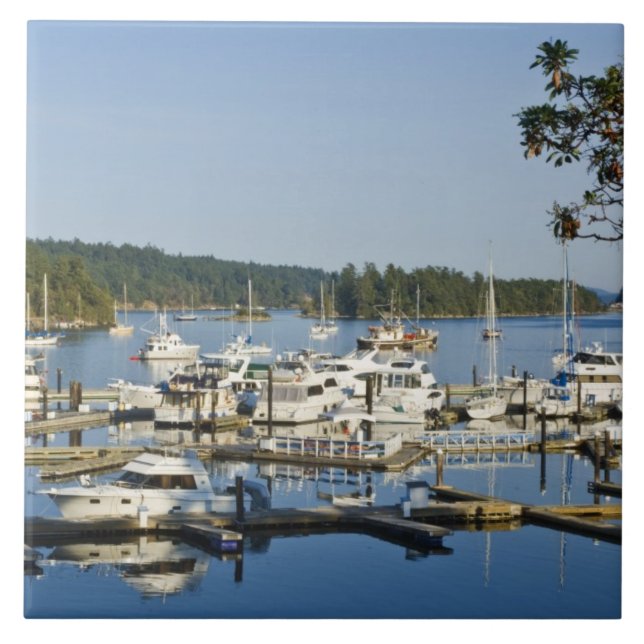 Canada, BC, Gulf Islands, Salt Spring Island, Tile (Front)
