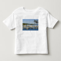 Canada, BC, Gulf Islands, Salt Spring Island,