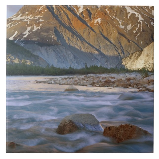 Canada, British Columbia, Alsek River Valley. Tile (Front)