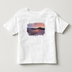 Canada, British Columbia, Alsek River Valley. Toddler T-shirt