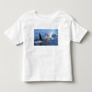Canada, British Columbia, Johnstone Straight, Toddler T-shirt
