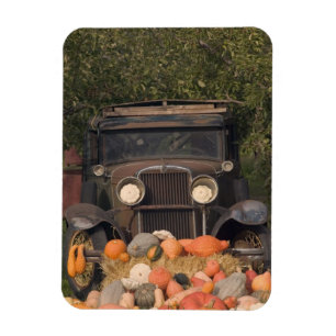 CANADA, British Columbia, Keremeos. Autumn / 2 Magnet