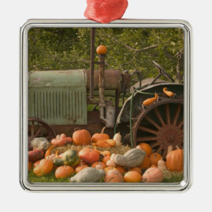 CANADA, British Columbia, Keremeos. Autumn / 2 Metal Ornament