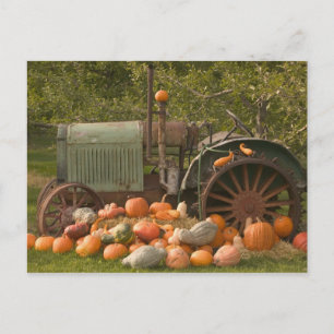 CANADA, British Columbia, Keremeos. Autumn / 2 Postcard