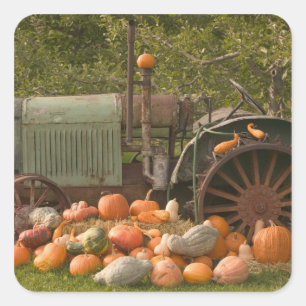 CANADA, British Columbia, Keremeos. Autumn / 2 Square Sticker