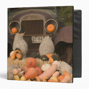 CANADA, British Columbia, Keremeos. Autumn / Binder
