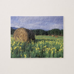 Canada, British Columbia, Kitwanga. Yellow Jigsaw Puzzle