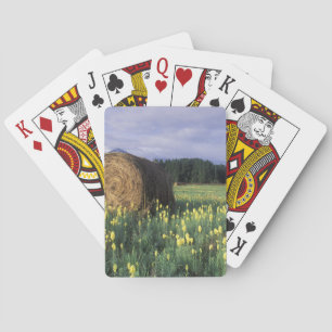 Canada, British Columbia, Kitwanga. Yellow Playing Cards