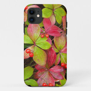 Canada, British Columbia, Mount Robson iPhone 11 Case