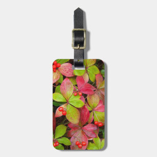 Canada, British Columbia, Mount Robson Luggage Tag