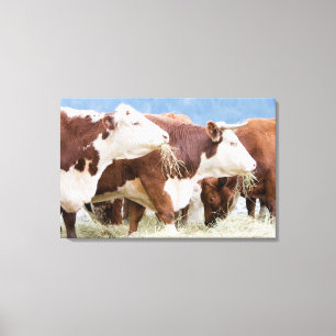 Canada, British Columbia, Pemberton Canvas Print