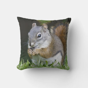 Canada, British Columbia, Red Squirrel Pine Throw Pillow