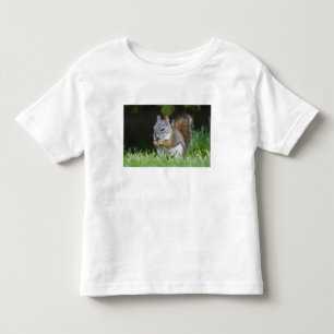 Canada, British Columbia, Red Squirrel Pine Toddler T-shirt