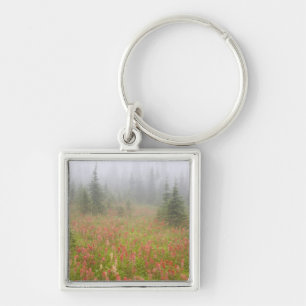 Canada, British Columbia, Revelstoke National Keychain