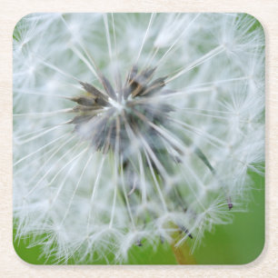 Canada, British Columbia, Vancouver Island 4 Square Paper Coaster