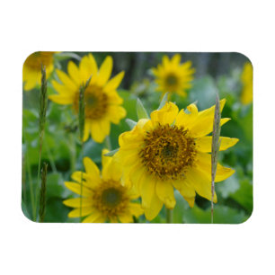 Canada, British Columbia, Vancouver Island 5 Magnet