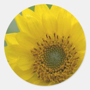 Canada, British Columbia, Vancouver Island 7 Classic Round Sticker