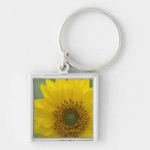 Canada, British Columbia, Vancouver Island 7 Keychain