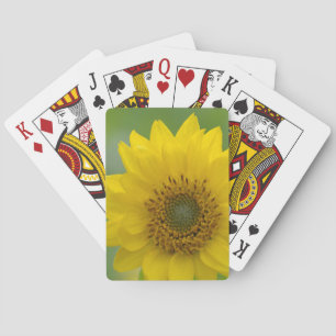Canada, British Columbia, Vancouver Island 7 Playing Cards