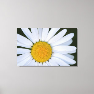 Canada, British Columbia, Vancouver Island 8 Canvas Print