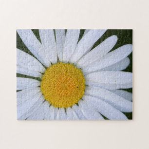Canada, British Columbia, Vancouver Island 8 Jigsaw Puzzle
