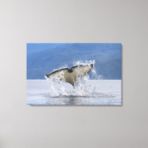 Canada, British Columbia, Vancouver Island, Canvas Print