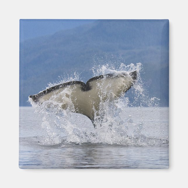 Canada, British Columbia, Vancouver Island, Magnet (Front)