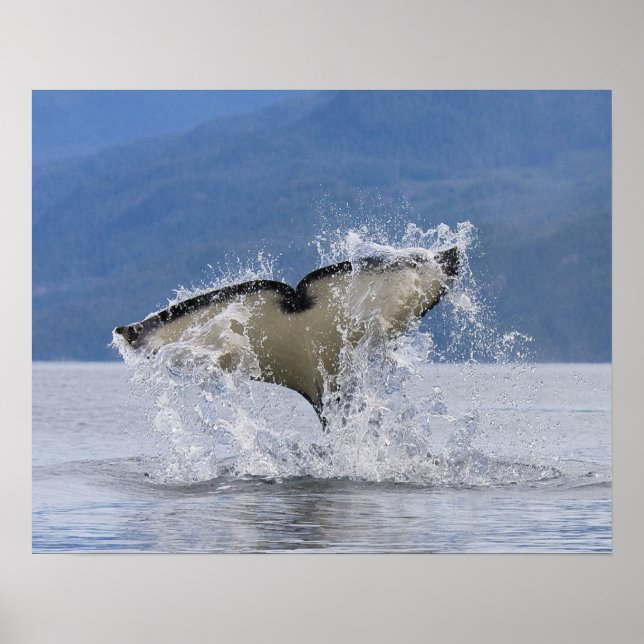 Canada, British Columbia, Vancouver Island, Poster (Front)