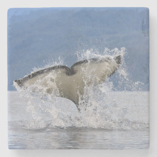 Canada, British Columbia, Vancouver Island, Stone Coaster