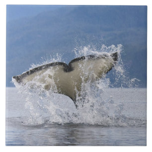 Canada, British Columbia, Vancouver Island, Tile