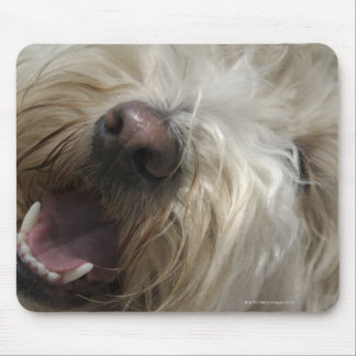 Canada, British Columbia, Vancouver Mouse Pad
